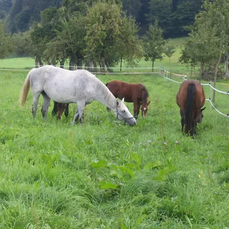 Alojamento de Turismo Rural Hofgut Bentele Deggenhausertal